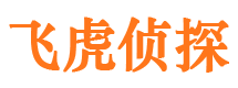 宝安市私家调查